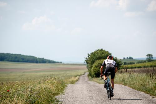 Ritchey Comp Road Logic 2018