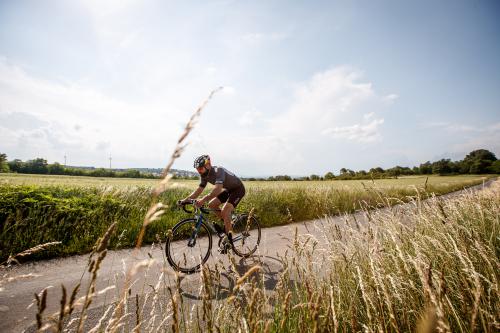 Ritchey Comp Road Logic 2018