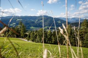 In der Mountainbike Region Mürztal 