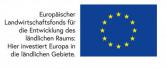 https://ec.europa.eu/info/food-farming-fisheries/key-policies/common-agricultural-policy/rural-development_de