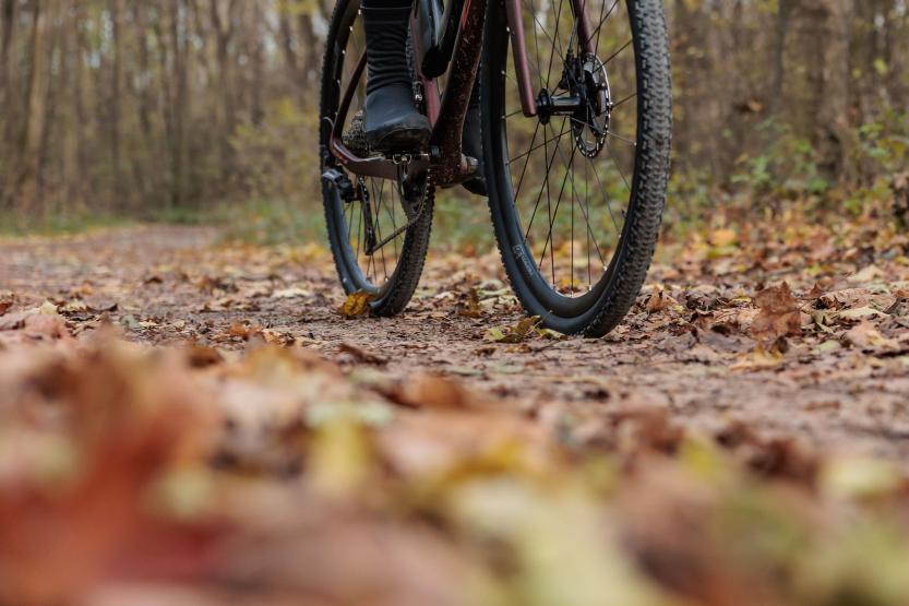 Schwalbe G-ONE R Pro Line 2025